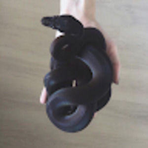 Meet your Posher, Darien